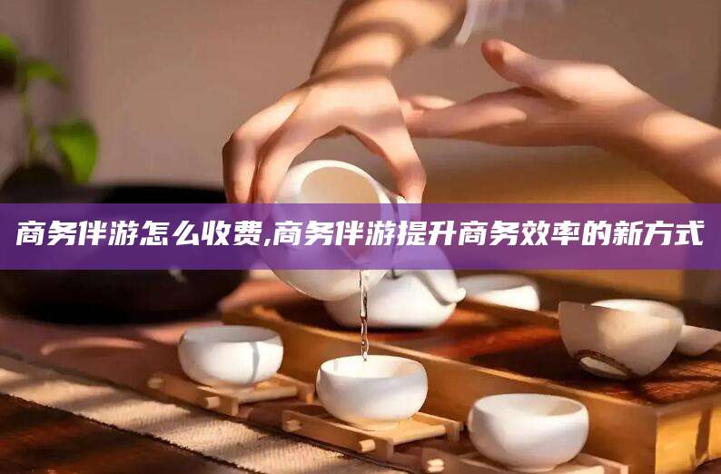 涿州商务伴游怎么收费,商务伴游提升商务效率的新方式